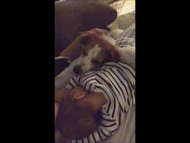 Das Baby ist integriert